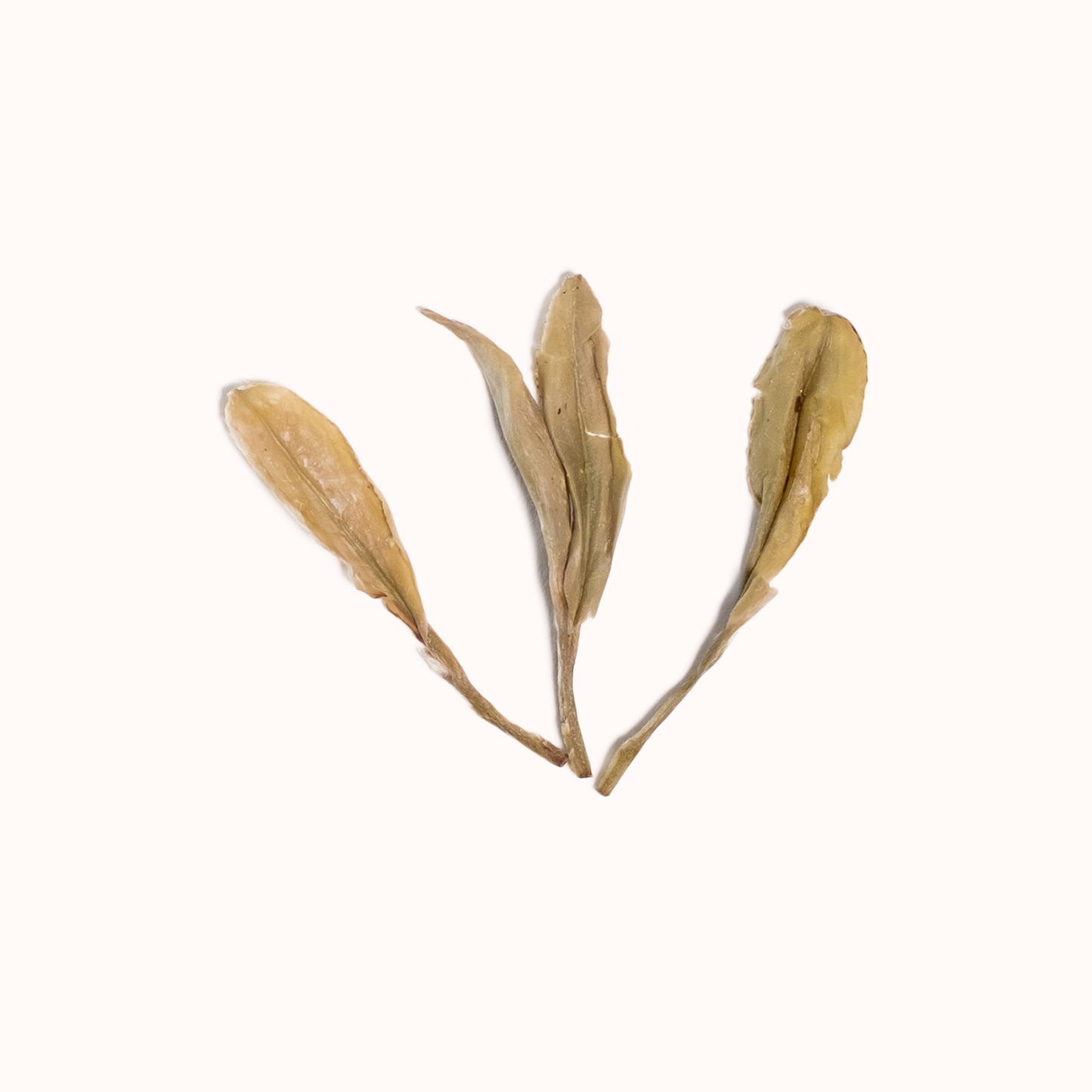Dragonwell brewed loose-leaf