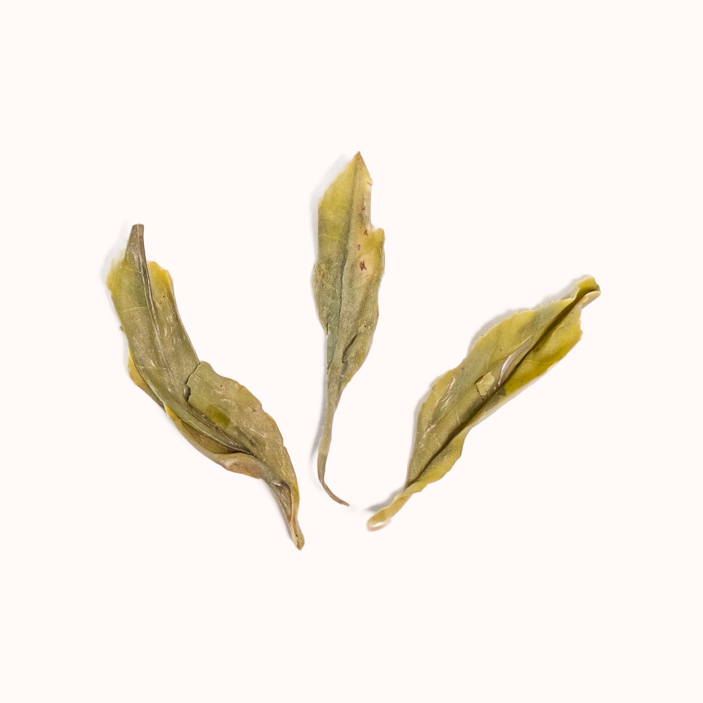 Baba's Green Tea brewed loose-leaf