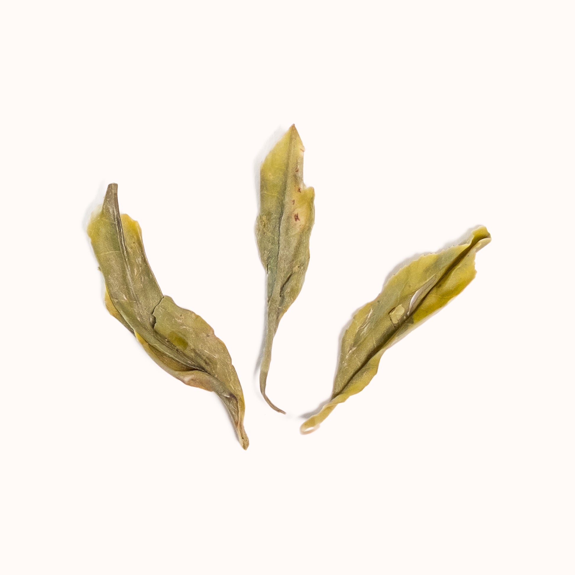 Baba's Green Tea brewed loose-leaf
