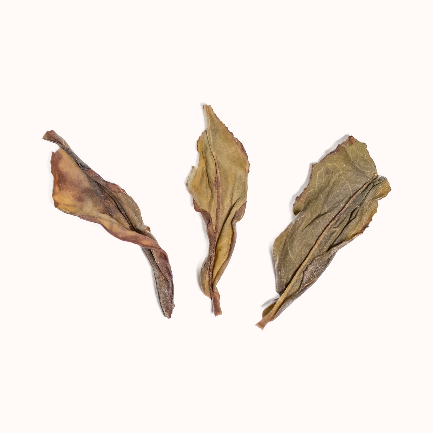 Duckshit Oolong brewed looseleaf