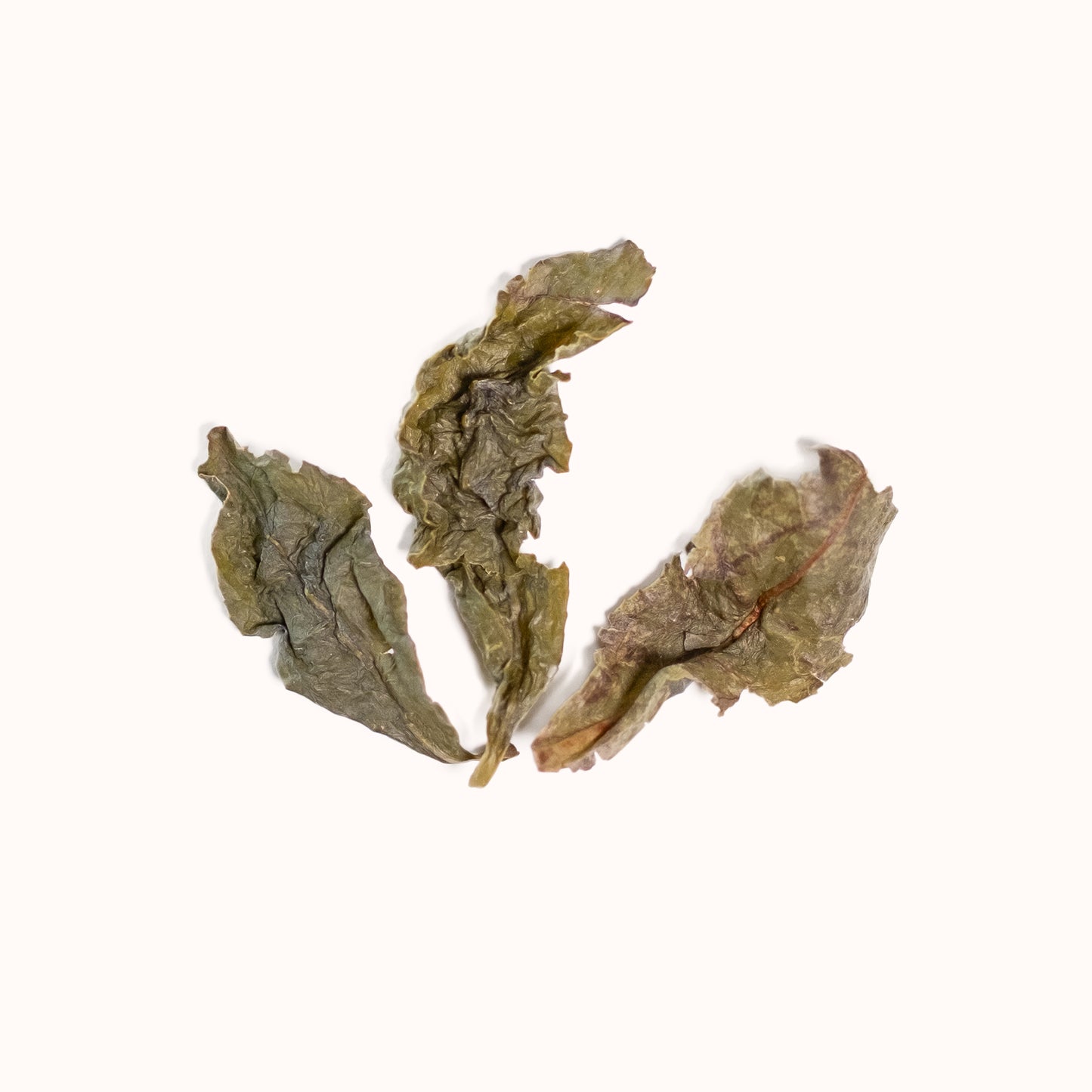 Iron Goddess brewed loose-leaf