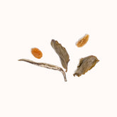 Queen Muscat Oolong brewed loose-leaf
