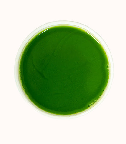 Master's Collection | Shizuoka Matcha