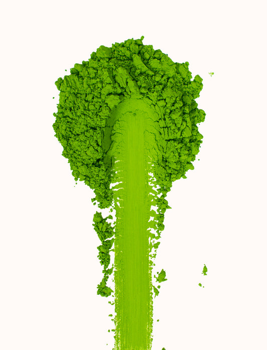 Master's Collection | Shizuoka Matcha