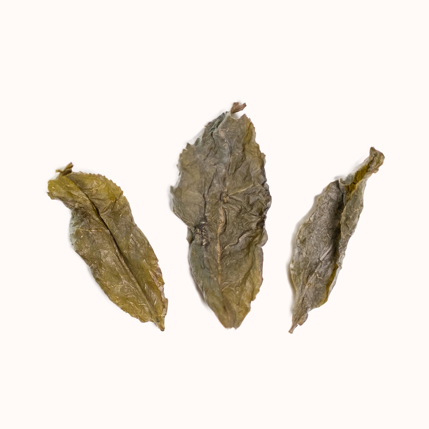 Supreme Milky Oolong brewed loose-leaf tea